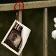 Illustration for article titled Terrible New Arizona Law Forces Horrified Parents to Watch their Babies Die